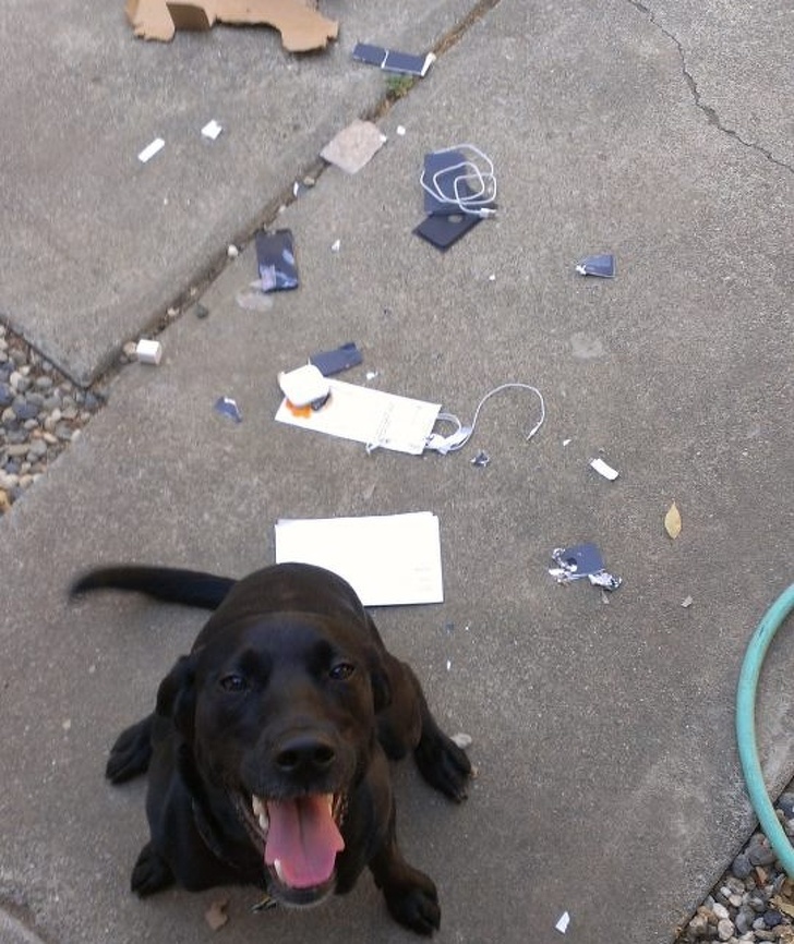 Illustration de l'article : Ces 16 photos de personnes qui ont mal commencé l'année