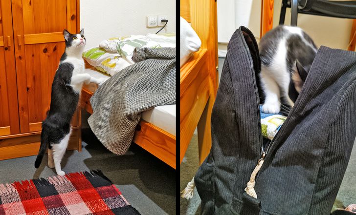 Illustration de l'article : Ces 20 personnes qui ont loué un logement de rêve pour leurs vacances