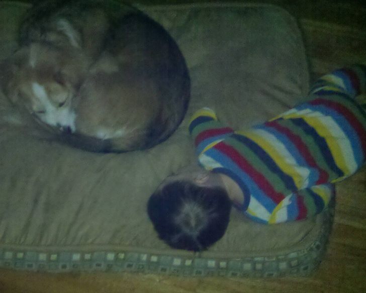 Illustration de l'article : Ces 20 photos qui montrent que certaines personnes adorent l'humour