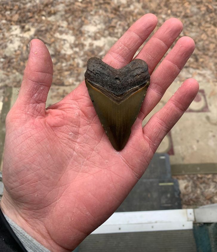 Illustration de l'article : Ces 18 personnes qui ont été récompensées par la chance