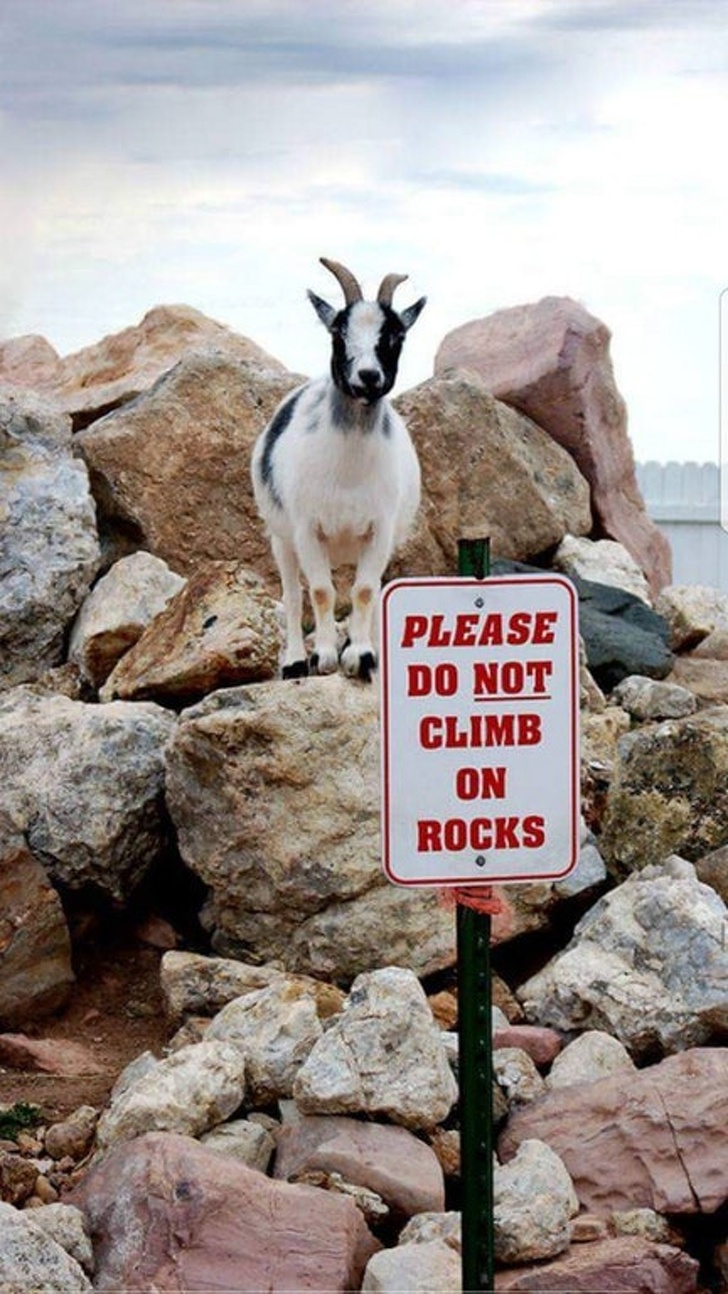 Illustration de l'article : Ces 25 bizarreries rencontrées dans la vie quotidienne