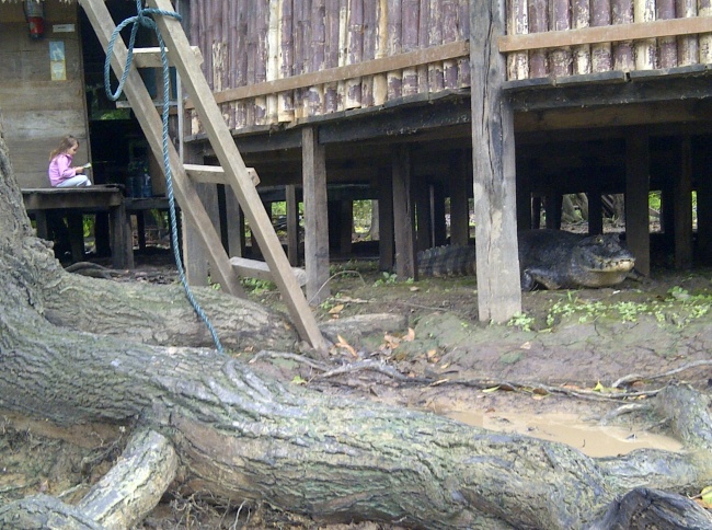 Illustration de l'article : 25 photos insolites mais pourtant bien réelles