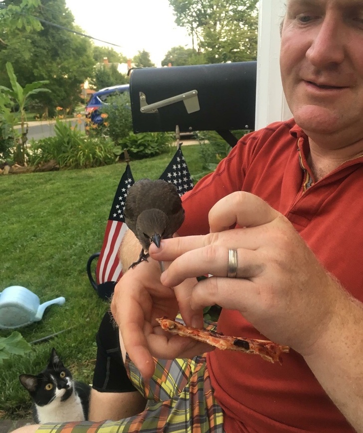 Illustration de l'article : Ces 13 photos qui montrent la jalousie dans le monde