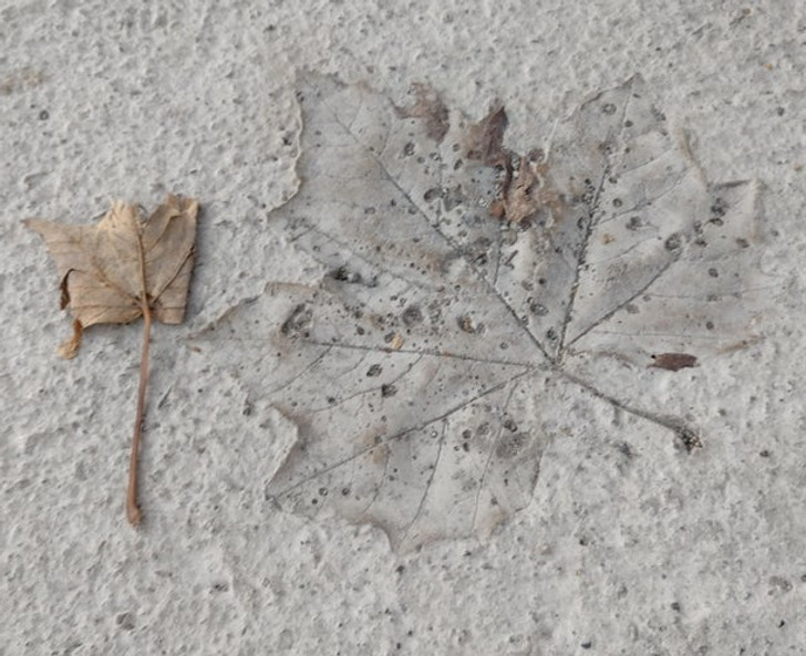 Illustration de l'article : Ces 16 photos qui illustrent les tournures amusantes du quotidien