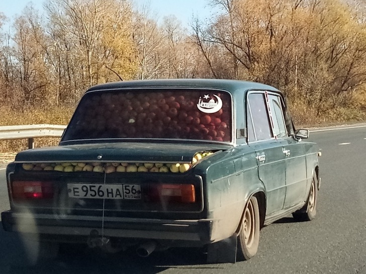 Illustration de l'article : Ces 18 photos prises à l'instant qu'il fallait