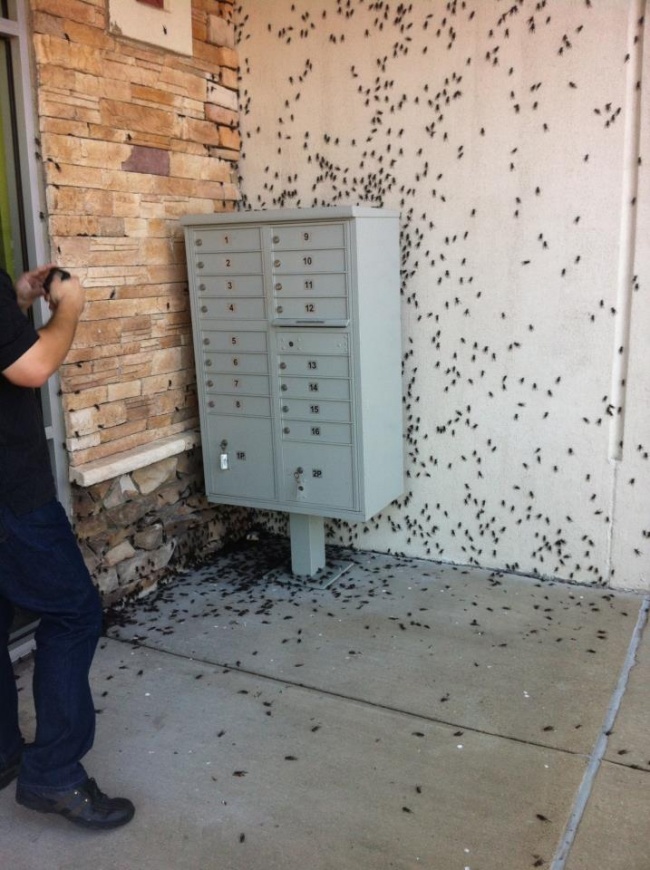 Illustration de l'article : 25 photos qui donnent des frissons en les regardant