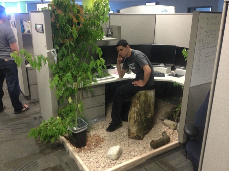 Illustration de l'article : Ces 17 personnes qui ne font que s'ennuyer au travail