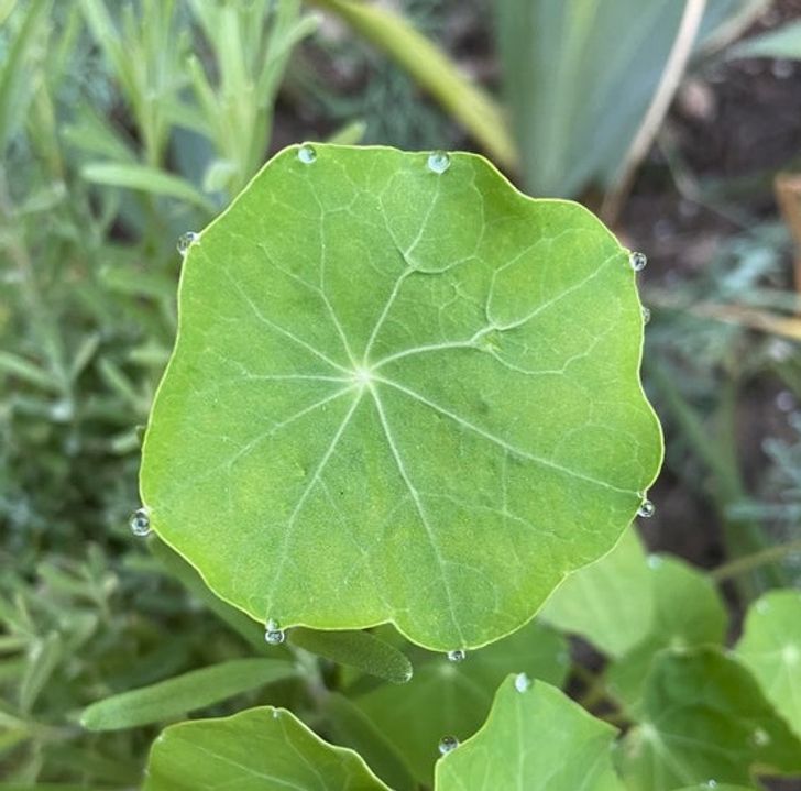 Illustration de l'article : Ces 19 photos qui illustrent la beaut&eacute; de la nature 