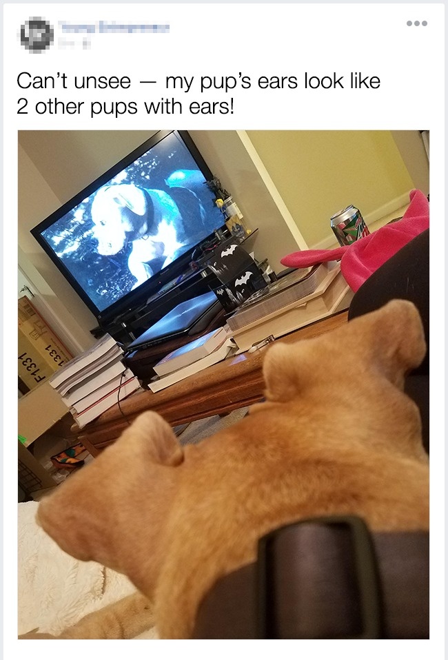 Illustration de l'article : 14 détails de la vie de tous les jours qui ont failli nous échapper