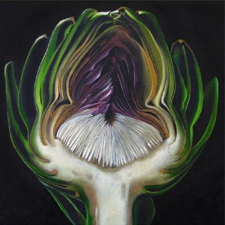 Illustration de l'article : Ces 25 choses coupées en deux pour y voir l'intérieur