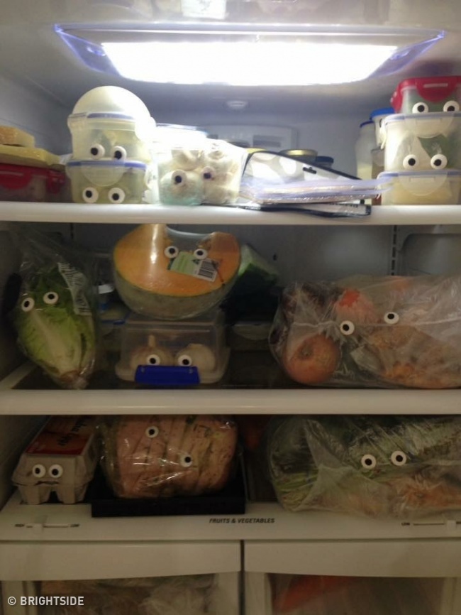 Illustration de l'article : 24 personnes ayant découvert des choses improbables dans leurs maisons