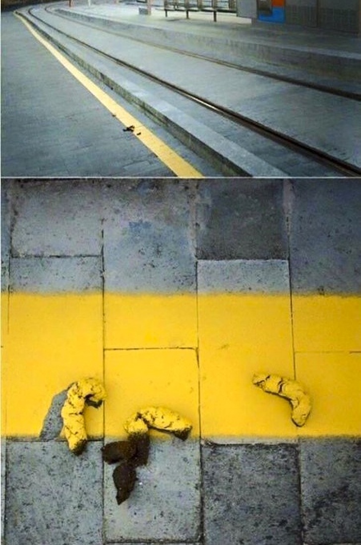 Illustration de l'article : Ces 16 personnes qui sont un savant mélange entre un fainéant et un génie