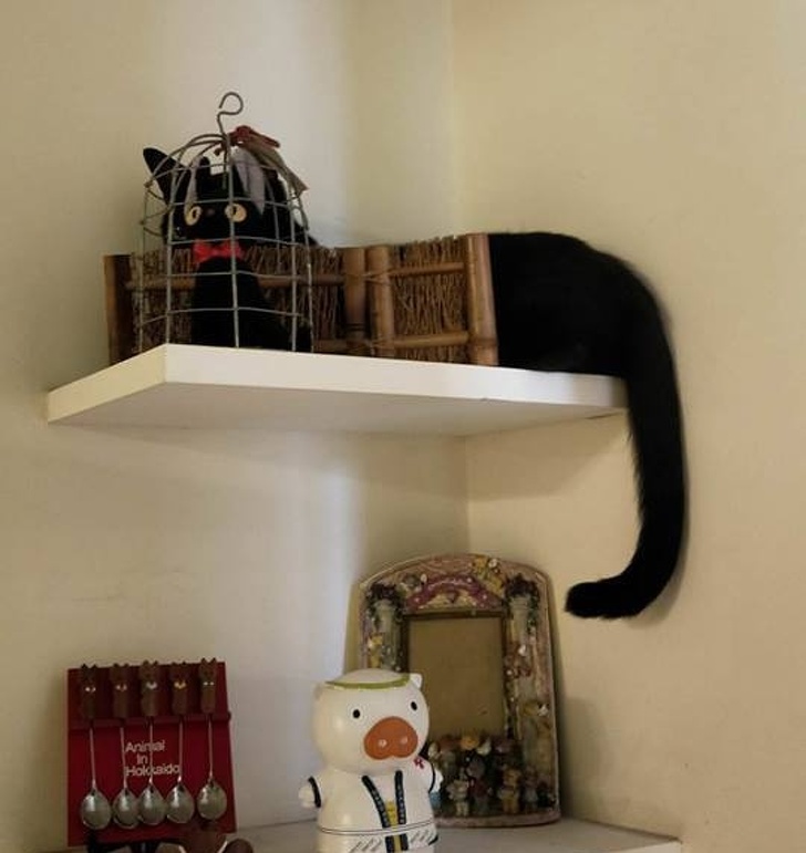 Illustration de l'article : Ces 15 coïncidences montrent que le hasard est troublant