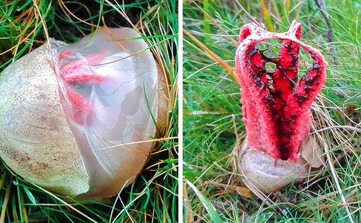 Illustration de l'article : Ces 17 photos qui offrent une montée d'adrénaline