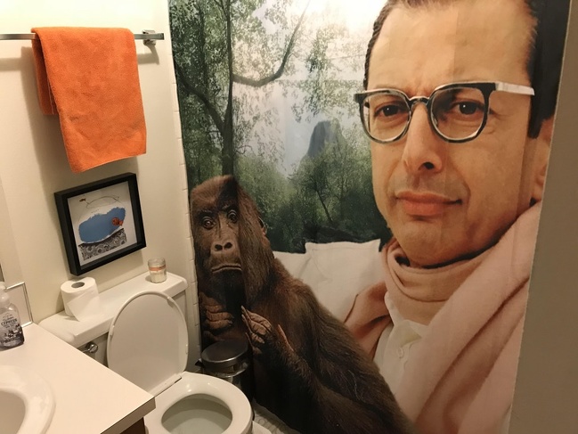 Illustration de l'article : Sélection des 23 photos insolites de la semaine