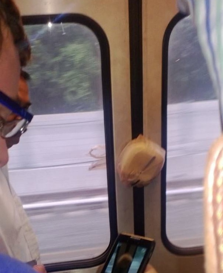 Illustration de l'article : Ces 18 situations qu'il vaut mieux éviter