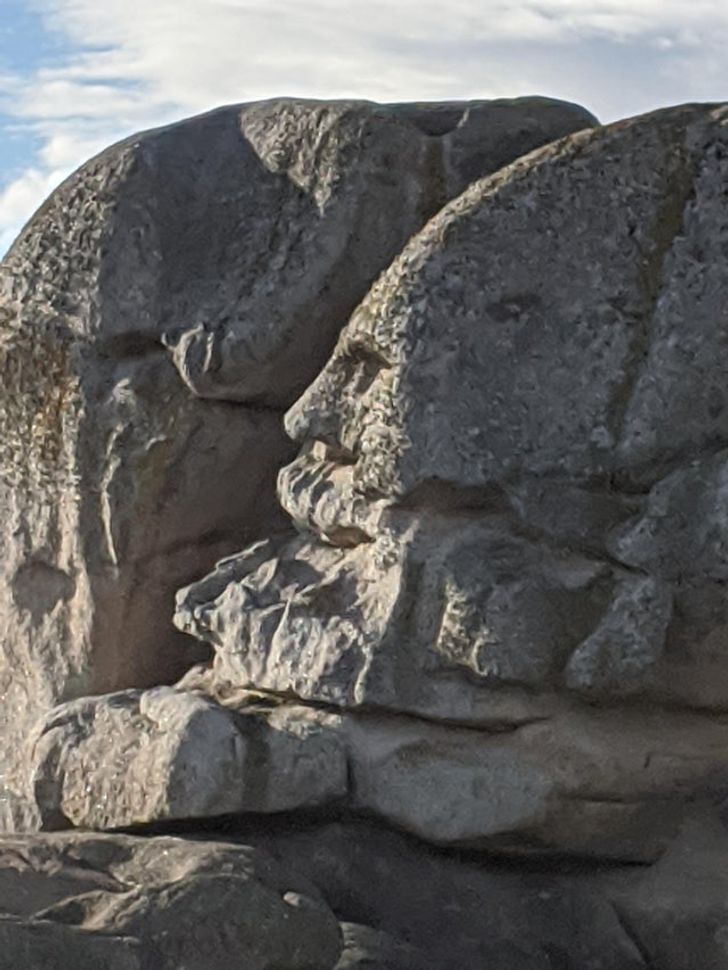 Illustration de l'article : Ces 20 photos qui montrent que la nature a de l'humour 