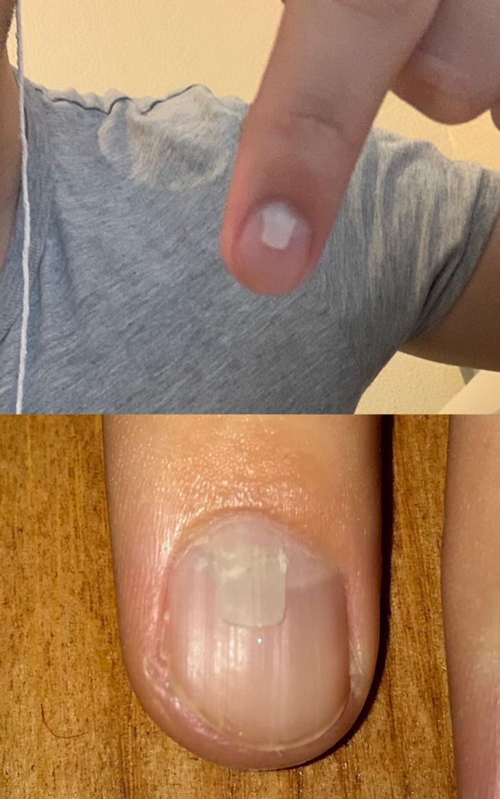 Illustration de l'article : Ces 18 fois où la nature s'est surpassée