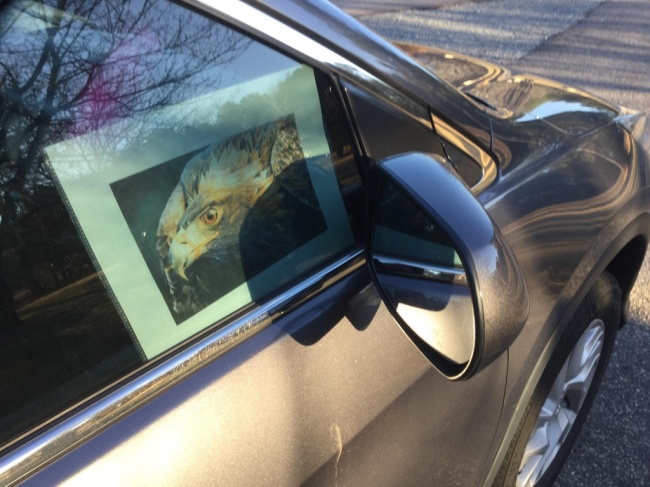 Illustration de l'article : Ces 28 astuces vous sortiront des situations les plus désespérées