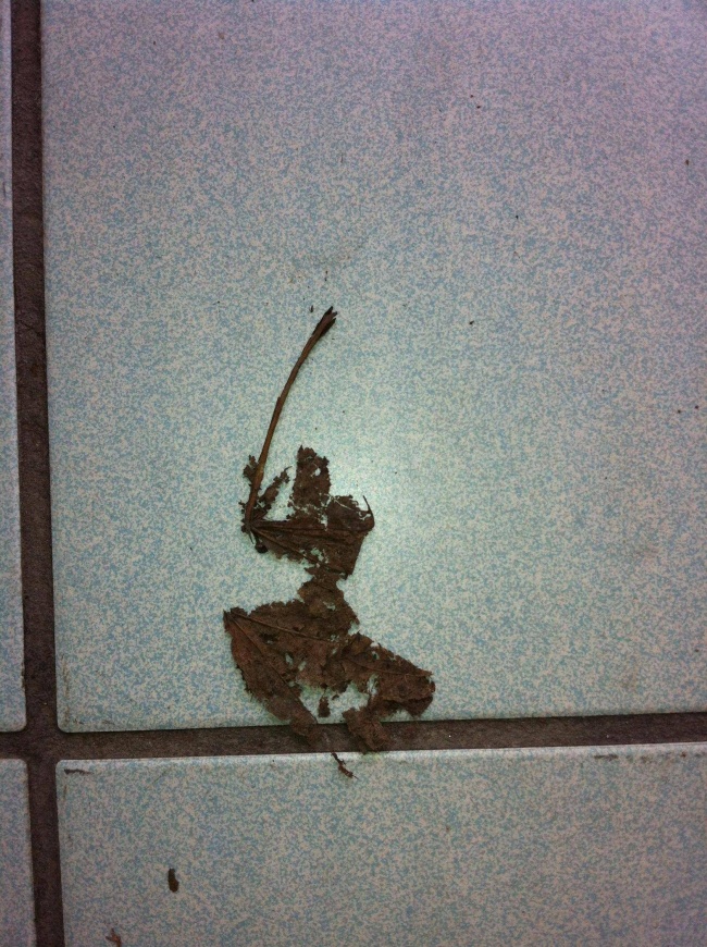 Illustration de l'article : 22 situations qui vont vous faire regarder &agrave; deux fois chaque photo