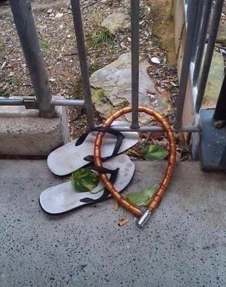 Illustration de l'article : Ces 20 photos de personnes ayant eu une idée ridicule ce jour-là