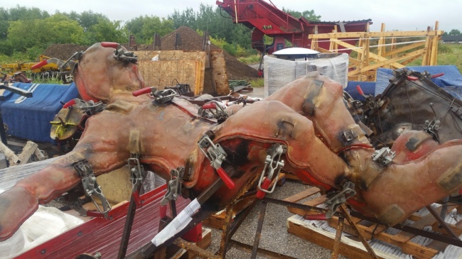 Illustration de l'article : 25 choses insolites illustrées par des photos