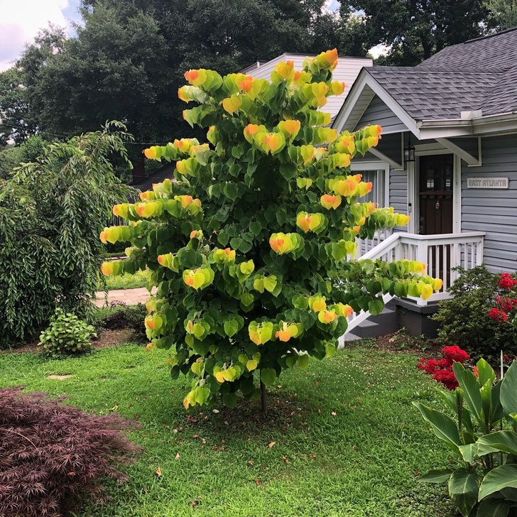 Illustration de l'article : Ces 21 choses qui ne se présentent qu'une seule fois dans une vie