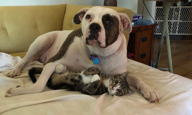 Illustration de l'article : Ces 18 photos qui représentent un souvenir émouvant vécu par ces personnes