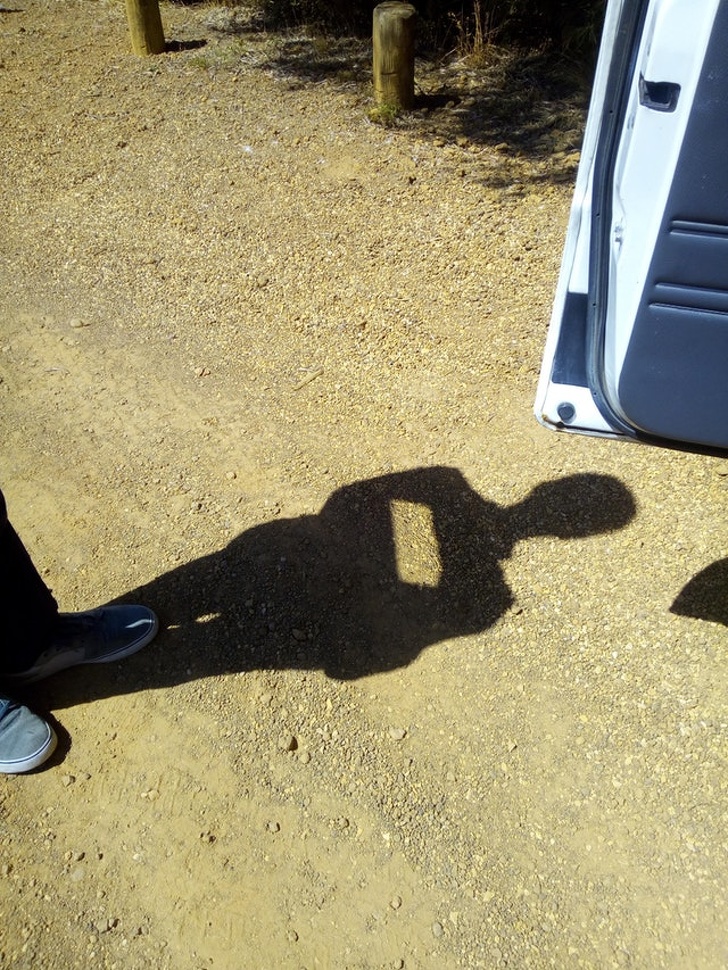 Illustration de l'article : Ces 15 photos de curiosités qui n'ont pas été retouchées