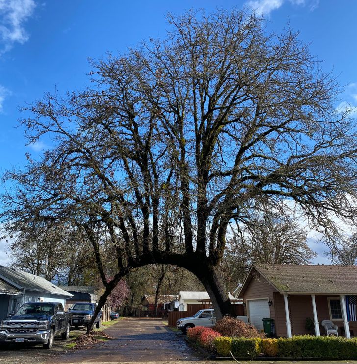 Illustration de l'article : Ces 16 photos qui illustrent la beauté et l'originalité de la nature