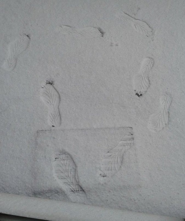 Illustration de l'article : Ces 20 photos résument le quotidien d'un fainéant