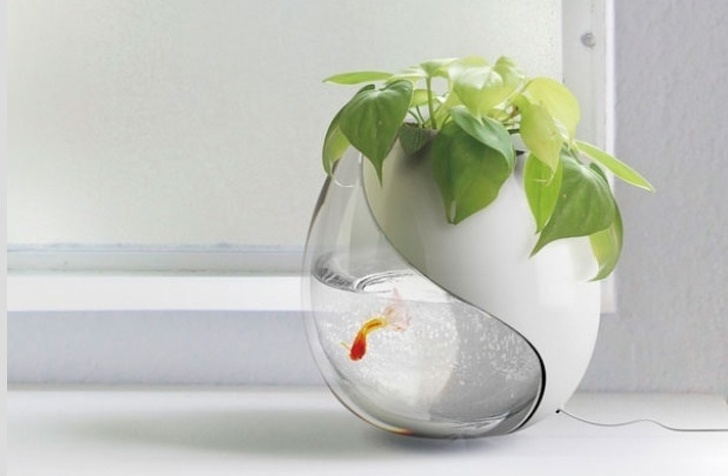 Illustration de l'article : Ces 25 photos d'objets du quotidien qui se démarquent