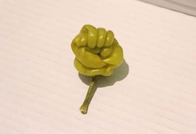 Illustration de l'article : 27 photos o&ugrave; quelque chose d'&eacute;trange s'est produit &agrave; la nourriture