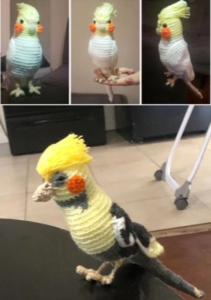 Illustration de l'article : Ces 20 personnes qui ont regretté leurs achats