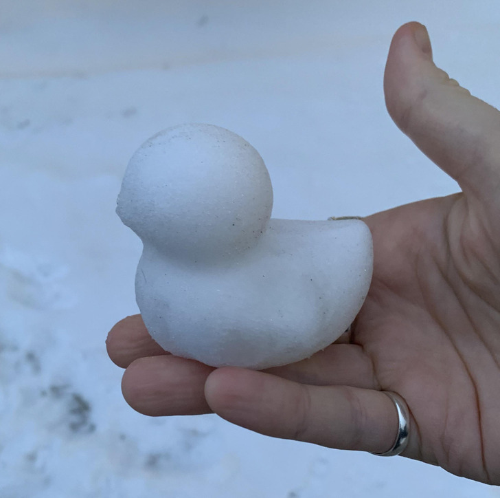 Illustration de l'article : Ces 16 photos qui illustrent les tournures amusantes du quotidien