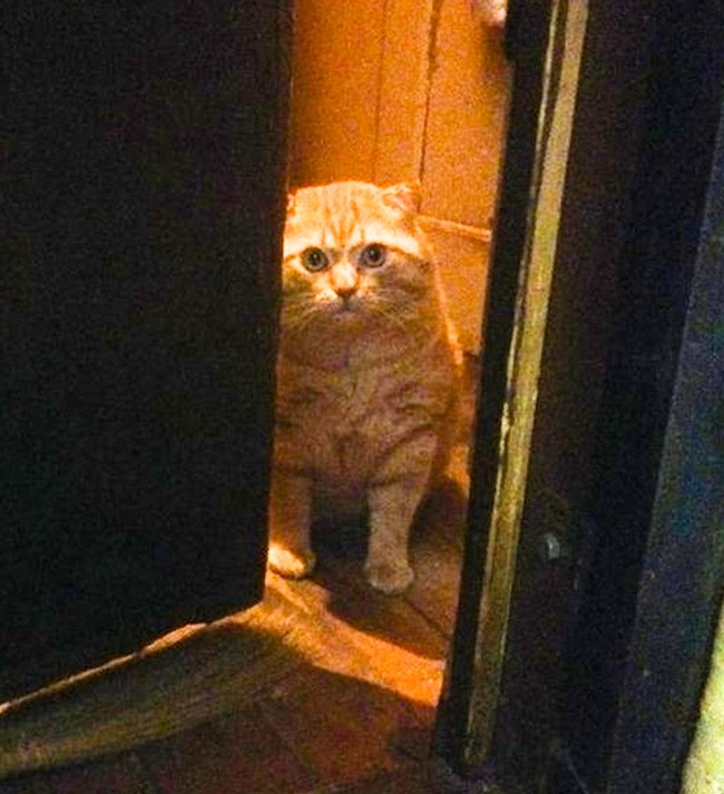 Illustration de l'article : Ces 20 personnes ont plus d'imagination que n'importe qui