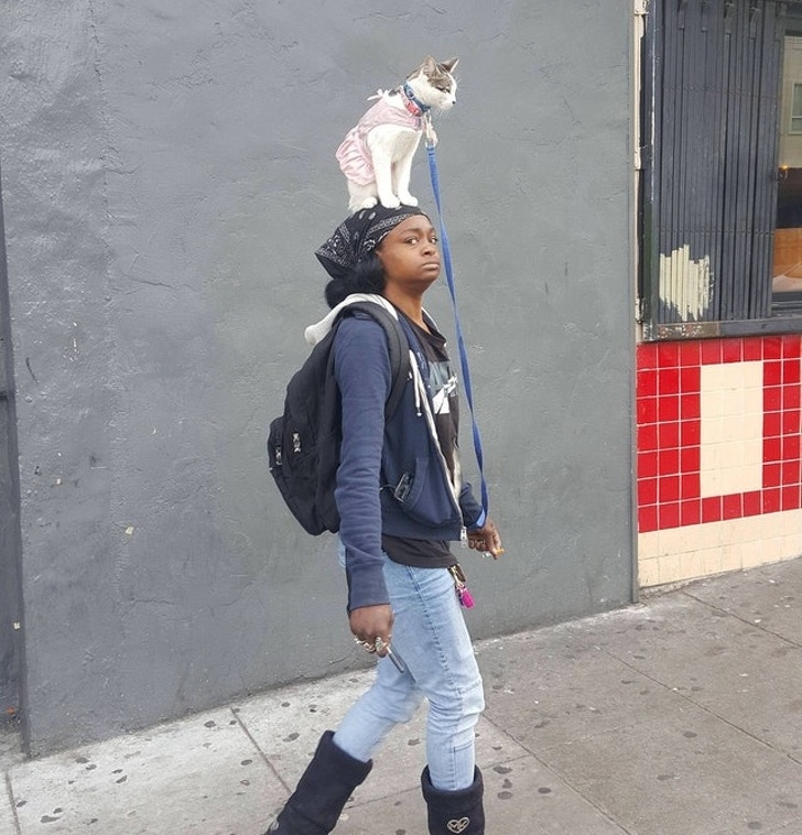 Illustration de l'article : Ces 23 photos prises pendant des situations loufoques