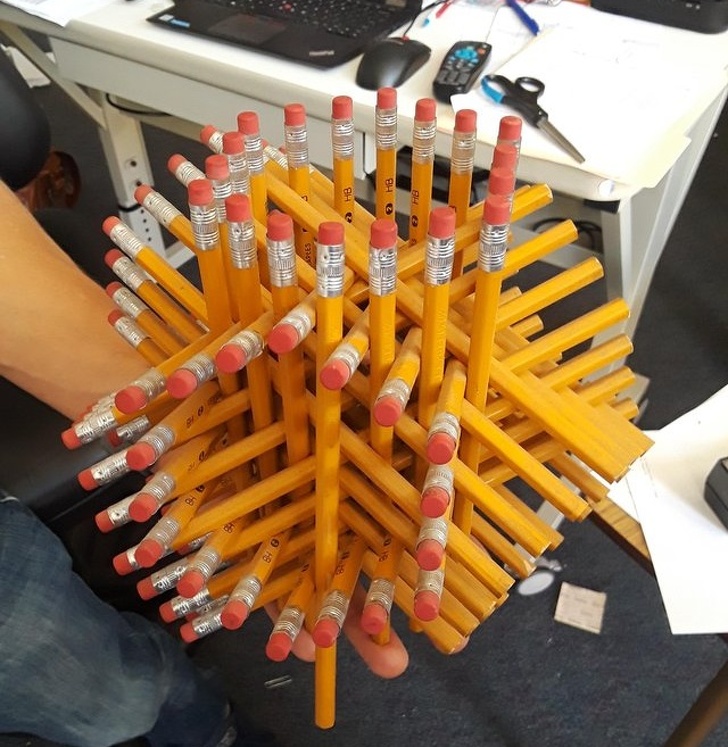 Illustration de l'article : Ces 18 cr&eacute;ations et personnes qui se diff&eacute;rencient des autres