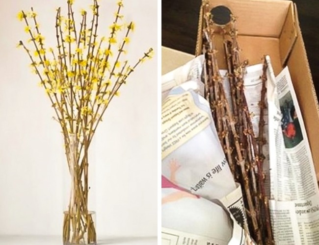 Illustration de l'article : 15 achats qui prouvent qu'internet peut &ecirc;tre cruel ! Entre ce qu'on commande et la r&eacute;alit&eacute;...