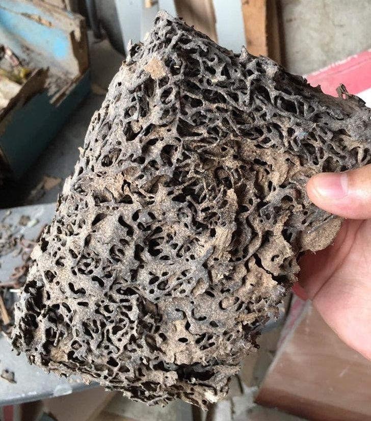 Illustration de l'article : Ces 19 personnes qui ont fait de belles découvertes