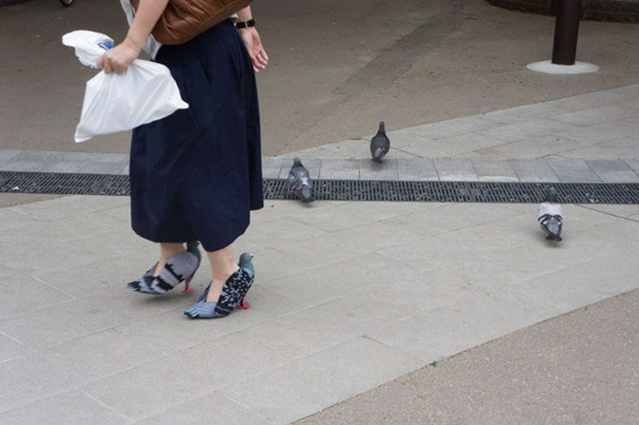Illustration de l'article : Au Japon, une femme effraie les passants avec des chaussures en pigeons
