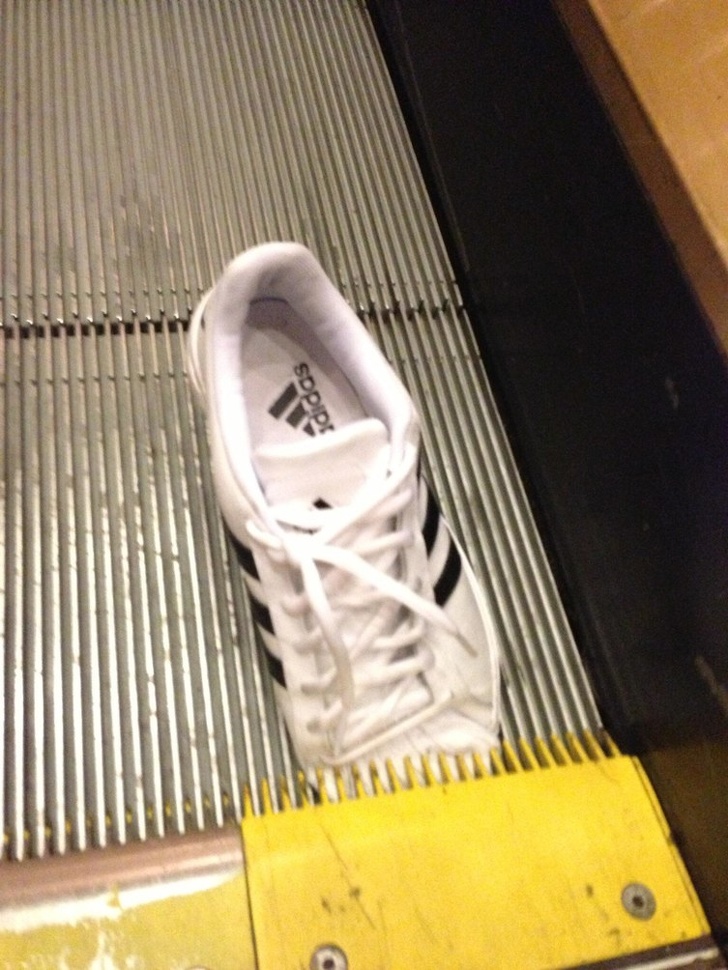 Illustration de l'article : Ces 19 photos d'une vie parfois injuste mais drôle