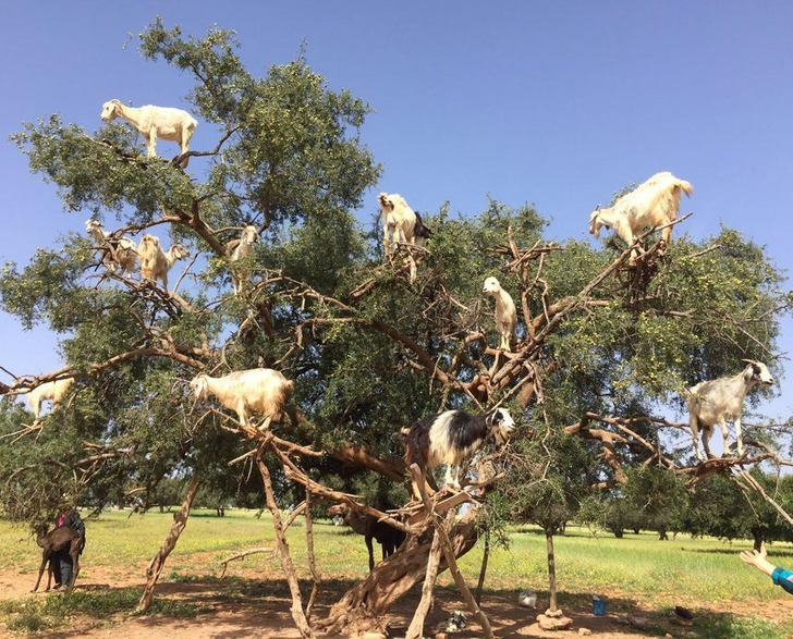 Illustration de l'article : Ces 20 photos qui illustrent des découvertes inattendues