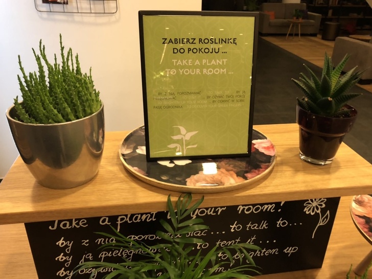 Illustration de l'article : Ces 21 hôtels qui proposent un service bien particulier