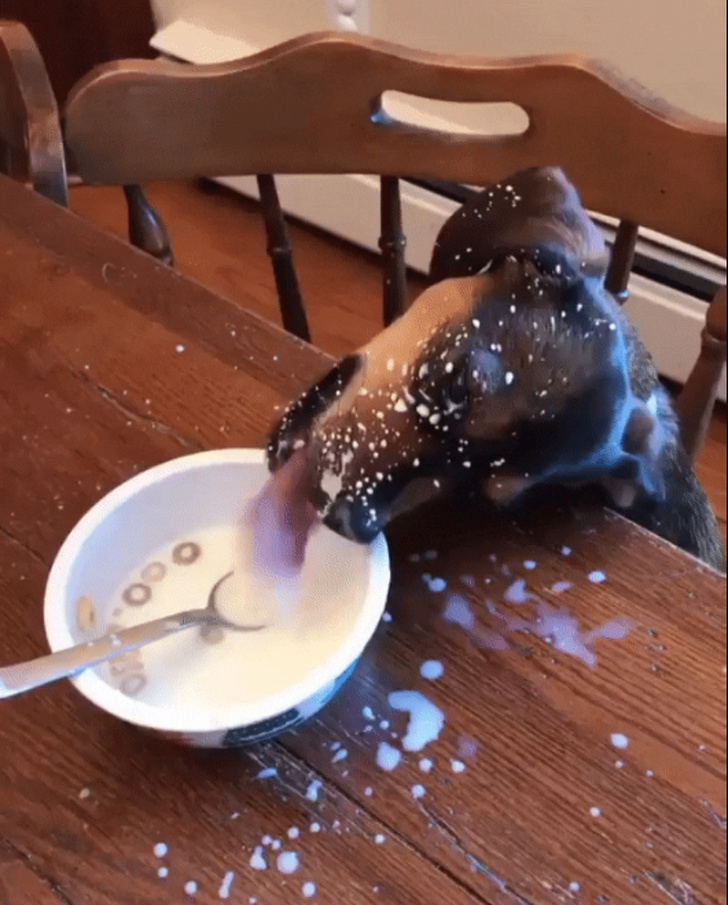 Illustration de l'article : Ces 13 malchanceux du jour