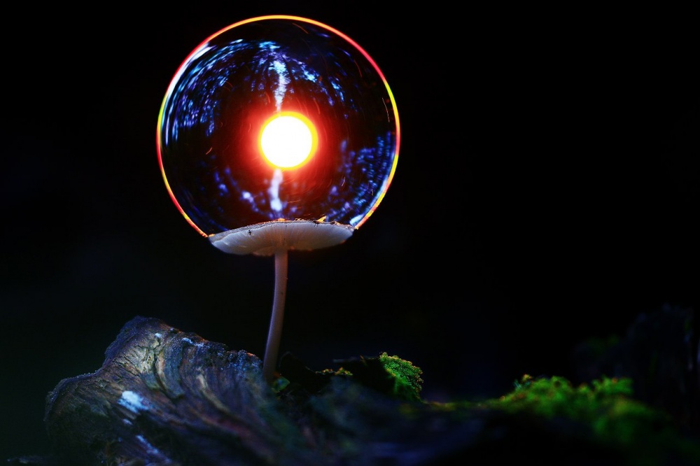 Illustration de l'article : 16 images captivantes sur les faits naturels les plus fascinants au monde 