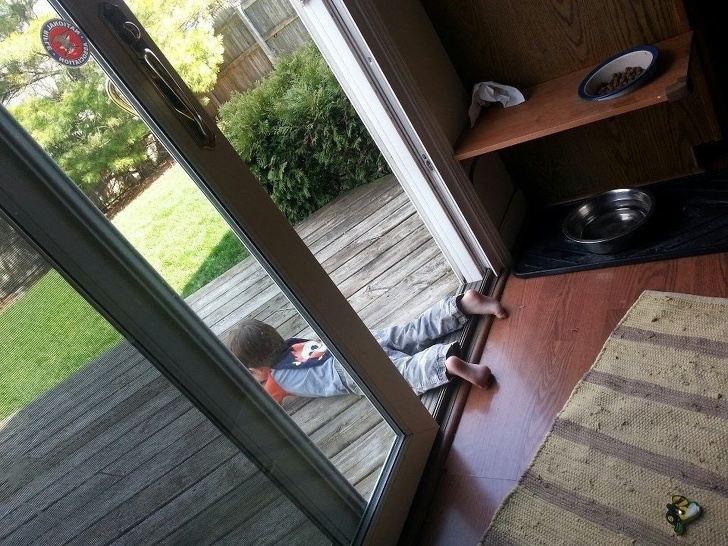 Illustration de l'article : Ces 21 photos montrent le respect de la loi, mais pas de la règle