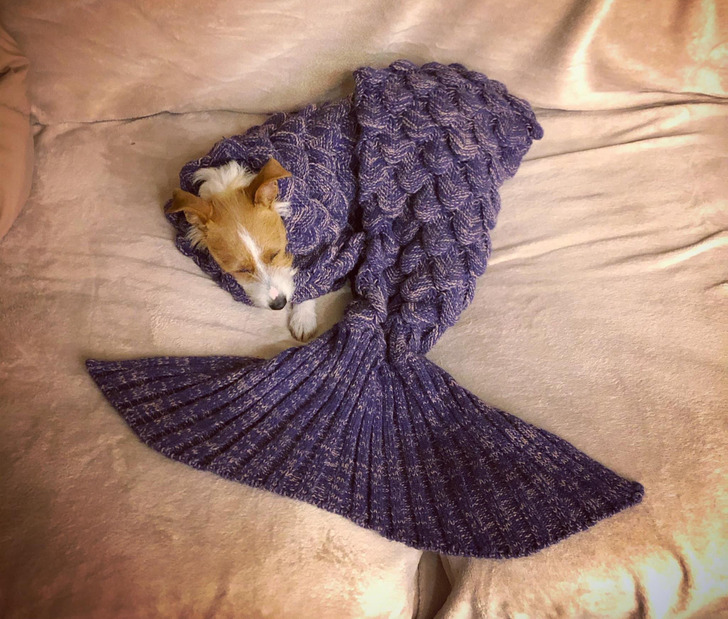 Illustration de l'article : Ces 15 photos qui illustrent des petits moments magiques de la vie