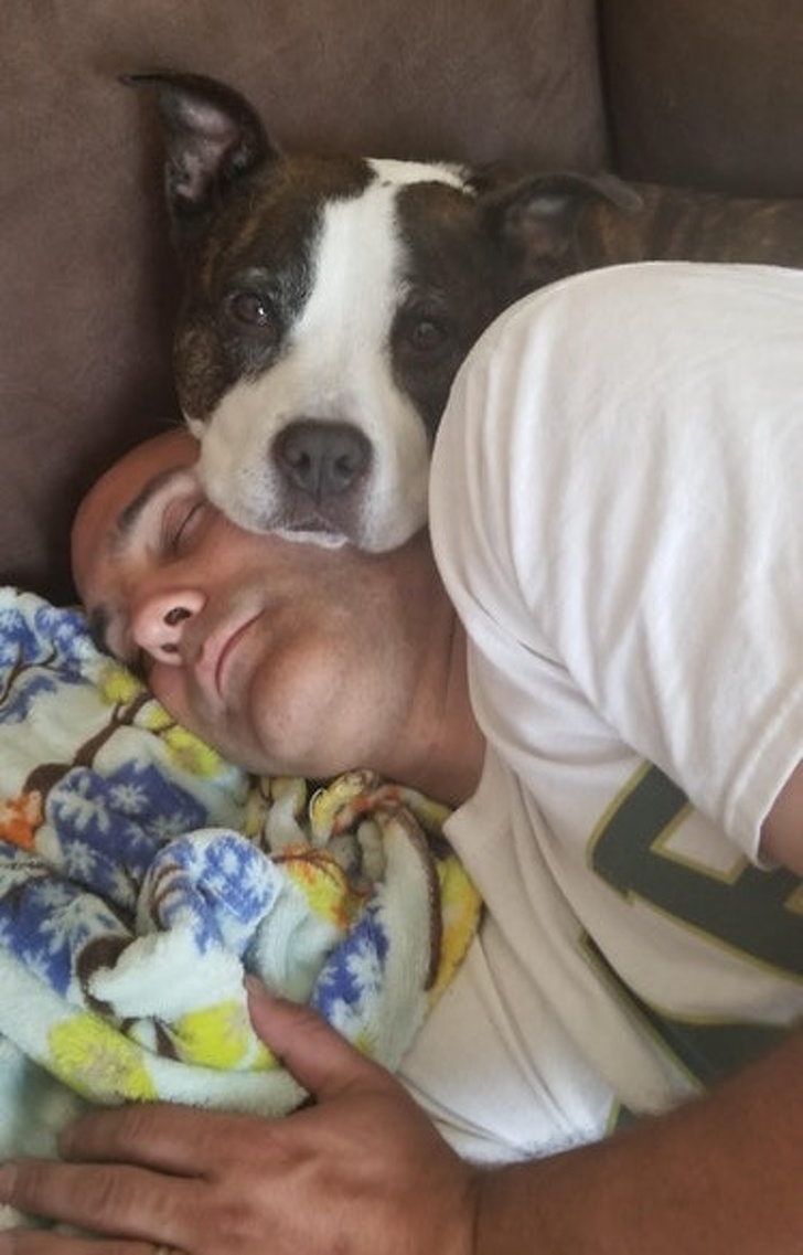 Illustration de l'article : Ces 14 photos semblent ordinaires mais derrière elles se cachent une histoire