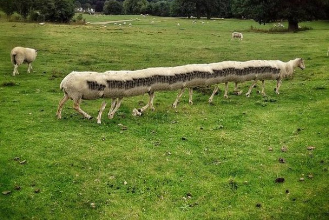 Illustration de l'article : 21 photos rat&eacute;es prises avec le mode panoramique de vos smartphones